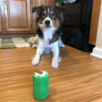 SodaPup - Medium Natural Rubber Soda Can Shaped Dog Toy